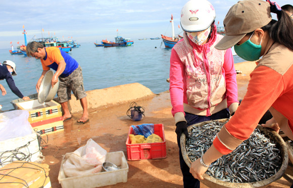 Nhịp sống hối hả trên quê hương Hải đội Hoàng Sa ảnh 7