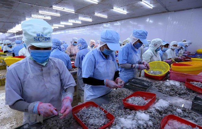 Xuất khẩu thủy sản tăng trưởng trở lại