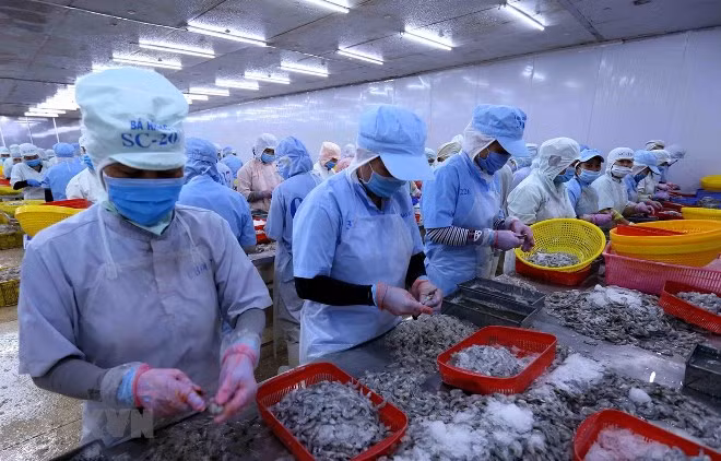 Xuất khẩu thủy sản tăng trưởng trở lại