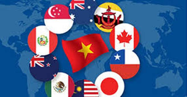 Các FTA đang dần được khai thác hiệu quả hơn Các FTA đang dần được khai thác hiệu quả hơn