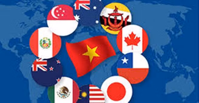 Các FTA đang dần được khai thác hiệu quả hơn