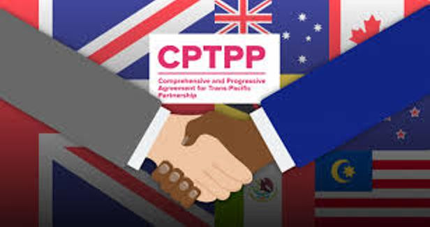 Còn nhiều cơ hội cho doanh nghiệp Việt Nam tại các thị trường thuộc CPTPP và EVFTA