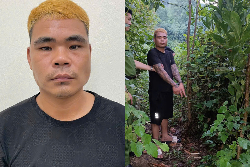 Đối tượng Nguyễn Dũng Thành