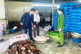 Thu giữ gần 6 tấn thực phẩm bốc mùi, chuẩn bị đưa vào các nhà hàng tiêu thụ