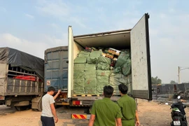 Đường đi của gần 29 tấn thực phẩm đông lạnh không rõ nguồn gốc