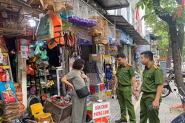 Kiểm tra hộ kinh doanh, thu giữ nhiều chim không rõ nguồn gốc