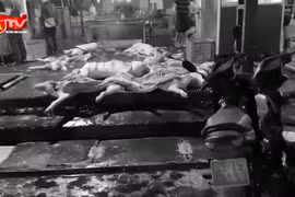 Vụ 300 tấn thịt lợn bẩn: Cán bộ kiểm dịch tự đặt ra quy định thu lời bất chính 2,5 tỷ đồng