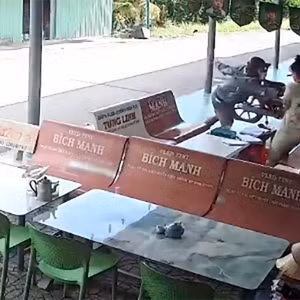 Tin Podcast ngày 11/8/2026: Bắt hai đối tượng liên tiếp cướp giật dây chuyền 