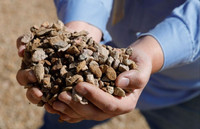 Nga và Trung Quốc nắm quyền kiểm soát nguyên liệu thô quan trọng nhất đối với Mỹ