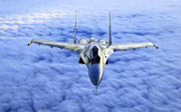 Su-30 sử dụng hệ thống tác chiến điện tử đặc biệt vô hiệu hóa F-35