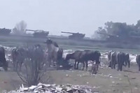 Pháo tự hành khổng lồ M110 203 mm được Pakistan điều động tới điểm nóng