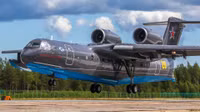 be-200-crash-top-9509-3231.jpg
