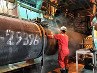 Nghị sĩ Đức yêu cầu khởi động khẩn cấp Nord Stream 2