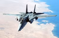 f-14-tomcat-jpg-1830-1484371046-zzrv-2580.jpg