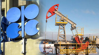 UEA tăng sản lượng dầu khiến tổ chức OPEC+ đối diện khủng hoảng?