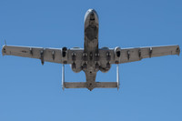 Hàng chục cường kích A-10 Mỹ sẽ đến 'nghĩa địa máy bay' hay chuyển sang Đông Âu? 