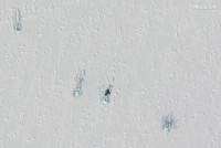 [ẢNH] Không phải 3, có tới 5 tàu ngầm hạt nhân Nga nổi lên tại Bắc Cực để phóng tên lửa