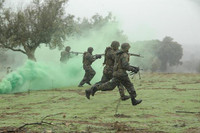 Washington cho phép các nước Baltic chuyển giao vũ khí Mỹ cho Ukraine