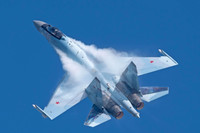Mỹ khai thác bí mật tiêm kích Su-35 từ mảnh xác bị bắn rơi tại Ukraine