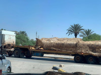 [ẢNH] Nga âm thầm viện trợ hàng trăm tên lửa Scud và 60 xe tăng T-62 cho LNA?