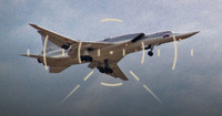Tướng Ukraine: Oanh tạc cơ chiến lược Tu-22M3 Nga bị UAV phá hủy ngay khi hạ cánh(?)
