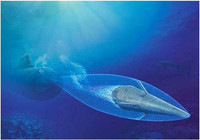 Chuyên gia Mỹ kêu gọi đừng hoảng sợ trước 'siêu vũ khí' của Nga