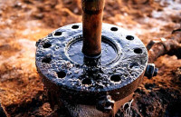 Nga xuất khẩu dầu thô với lượng tối đa nhưng thu về lợi nhuận tối thiểu