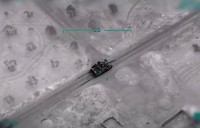 [ẢNH] Ai sẽ chiến thắng trong tương lai: xe tăng hay UAV?