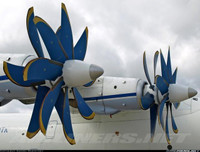 [ẢNH] Ukraine gây bất ngờ khi cho 