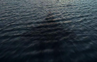 [ẢNH] Người Mỹ nói gì khi chứng kiến tiêm kích tàng hình bí ẩn của Nga?