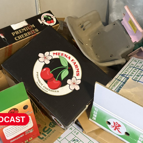 Điểm tin Podcast 24-06-2025: Khởi tố vụ trốn thuế hơn 10 tỷ đồng liên quan KOL nổi tiếng