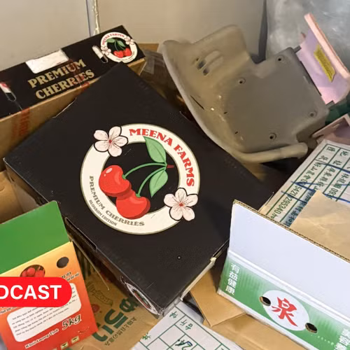 Điểm tin Podcast 24-06-2025: Khởi tố vụ trốn thuế hơn 10 tỷ đồng liên quan KOL nổi tiếng