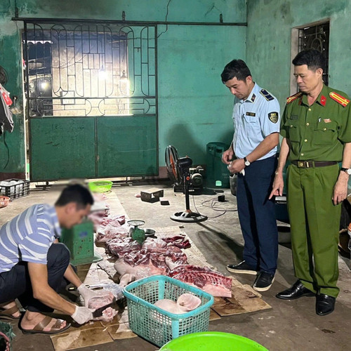 Tin Podcast ngày 6-8-2025: Tạm giữ 4 đối tượng buôn bán, giết mổ lợn nhiễm dịch tả châu Phi