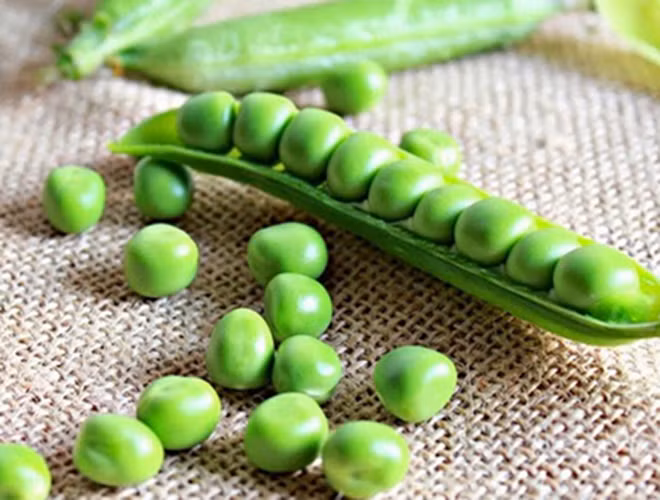 Ở Ý, hầu hết những người đang đếm ngược và chờ đón năm mới sẽ có một bát đậu lăng xanh cùng xúc xích với hy vọng một năm thịnh vượng.