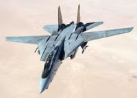 f-14.jpg