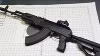 ak203-indien.jpg