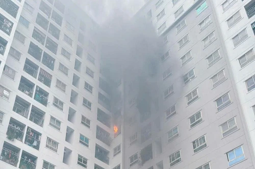 Hai người thoát hiểm bằng thang bộ trong vụ cháy chung cư Ecohome 2