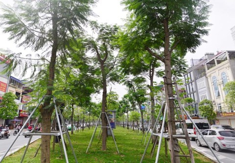 Giao lưu trực tuyến "An toàn mùa mưa bão" ảnh 106 Giao lưu trực tuyến "An toàn mùa mưa bão" ảnh 106