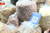 Hà Nội: Tăng cường quản lý, bình ổn giá trong dịp Tết Nguyên đán