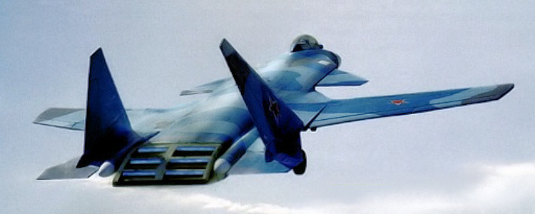 Su-47 Berkut trở thành siêu tiêm kích hạm tàng hình của Nga? ảnh 4