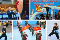 Tưng bừng khai mạc Giải võ thuật cổ truyền Hà Nội mở rộng 2025