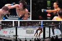 FPT Play phát sóng độc quyền các giải MMA hàng đầu thế giới