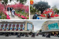 Không gian quang đãng, du khách thỏa sức du xuân giữa 'lẵng hoa của Thủ đô'