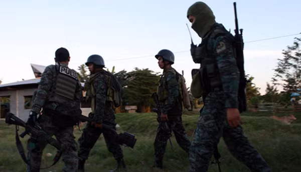 Hà Nội thay thế 6.700 cây xanh trên 190 tuyến phố ảnh 4