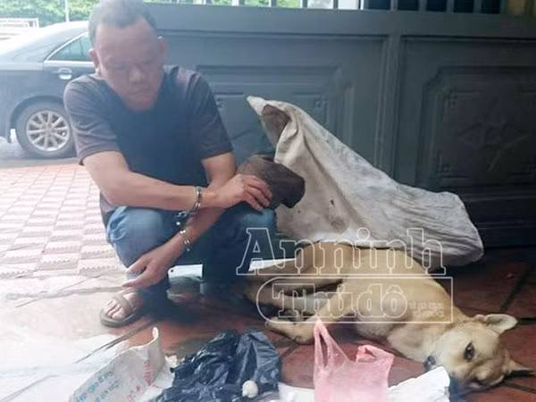 Hạ độc chó bằng cyanua, đem đi tiêu thụ thì "đụng" 141 ảnh 1