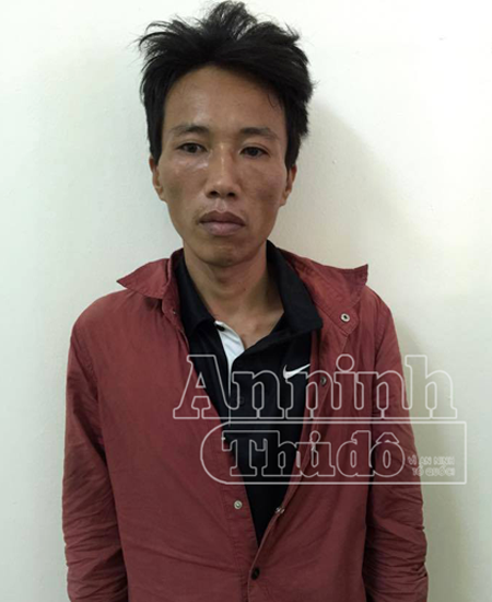 Hà Nội: Trèo cây cau trộm tài sản nhà dân gặp ngay Cảnh sát cơ động ảnh 1