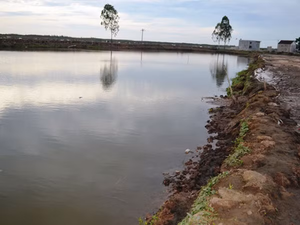 Sảy chân rơi xuống ao tôm, hai anh em họ đuối nước thương tâm ảnh 1 Sảy chân rơi xuống ao tôm, hai anh em họ đuối nước thương tâm ảnh 1