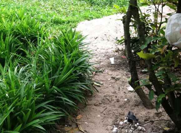 Hiện trường nơi xảy ra vụ nổ súng