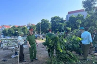  Giữ bình yên địa bàn bằng sự đồng thuận của nhân dân