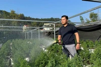 Hành trình và nghị lực làm giàu của thanh niên 9X